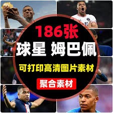 鹅延续了